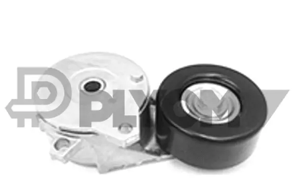 Tensioner Lever, V-ribbed belt (P751862)