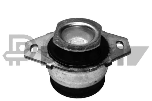 Mounting, engine (P756121)