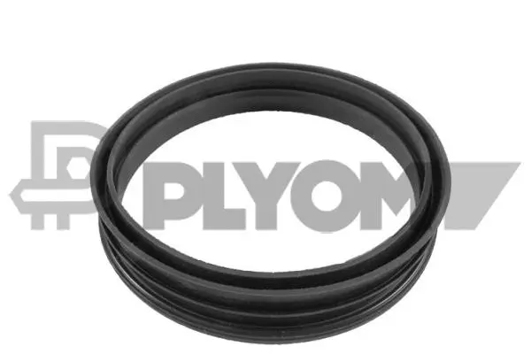 Seal, fuel filler neck (P769986)