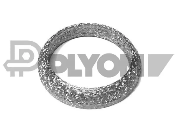 Seal Ring, exhaust pipe (P954209)