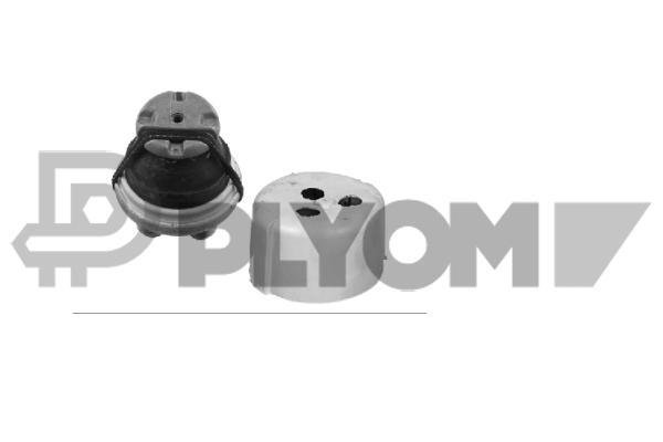 Mounting, engine (P776155)