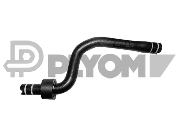 Radiator Hose (P036737)