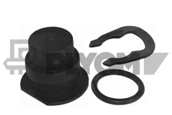 Sealing Plug, coolant flange (P951029)