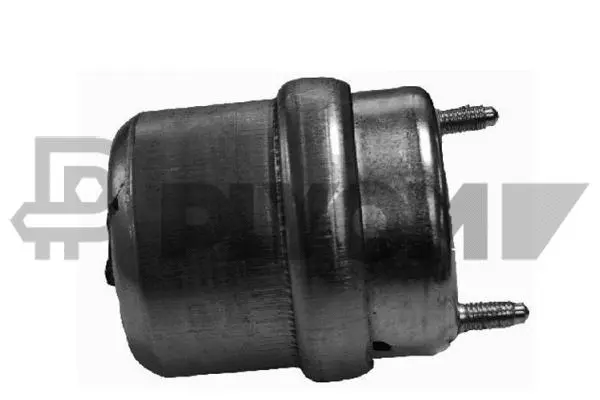 Mounting, engine (P461039)