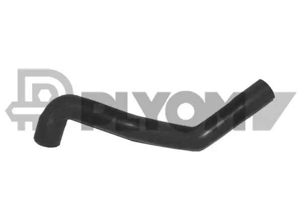 Radiator Hose (P036159)