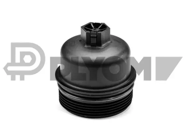Cap, oil filter housing (P758265)