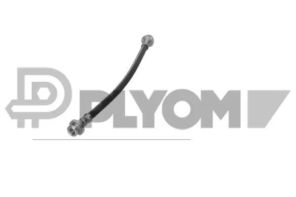 Brake Hose (P060008)