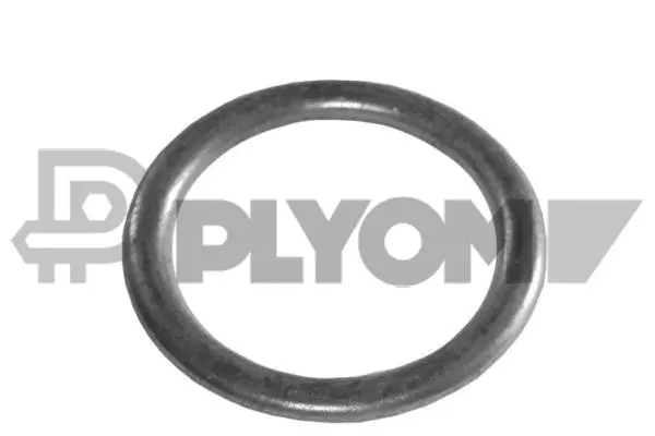 Seal Ring, oil drain plug (P952024)