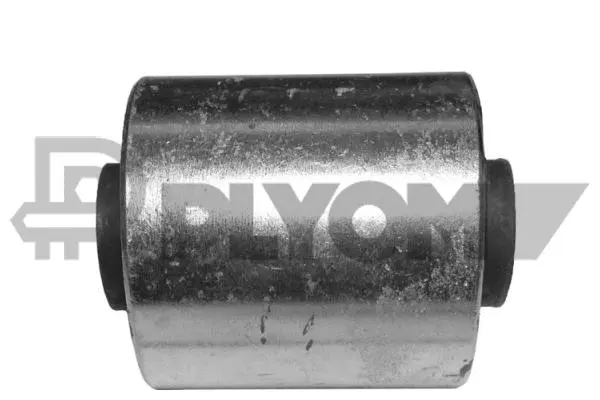 Bushing, axle beam (P031111)