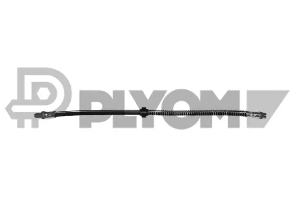 Brake Hose (P030403)