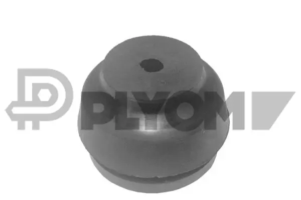 Mounting, engine (P100006)