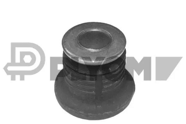Bushing, axle beam (P020368)
