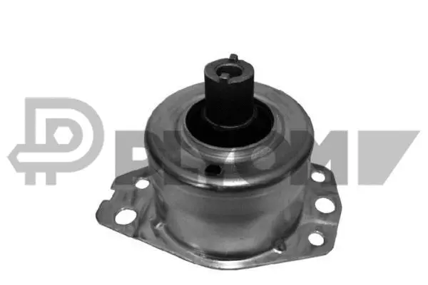 Mounting, engine (P756099)