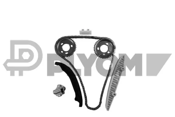 Timing Chain Kit (P752090)