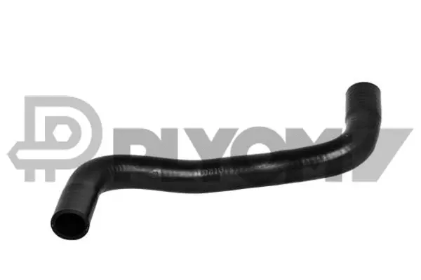 Radiator Hose (P026588)