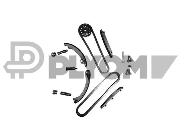 Timing Chain Kit (P481217)