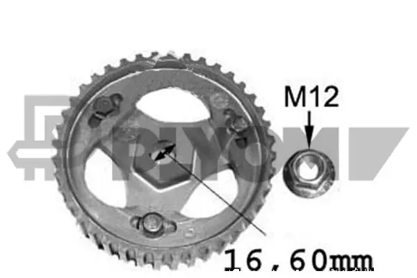 Gear, injection pump (P021516)