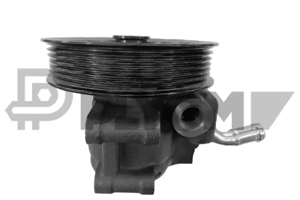 Hydraulic Pump, steering (P768308)