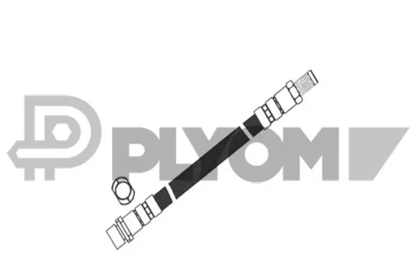 Brake Hose (P080234)
