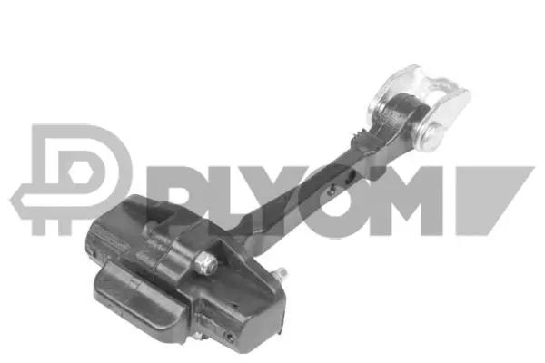 Door Check (P770719)