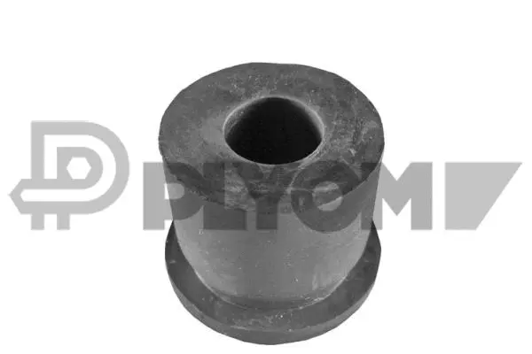 Bushing, leaf spring (P060144)