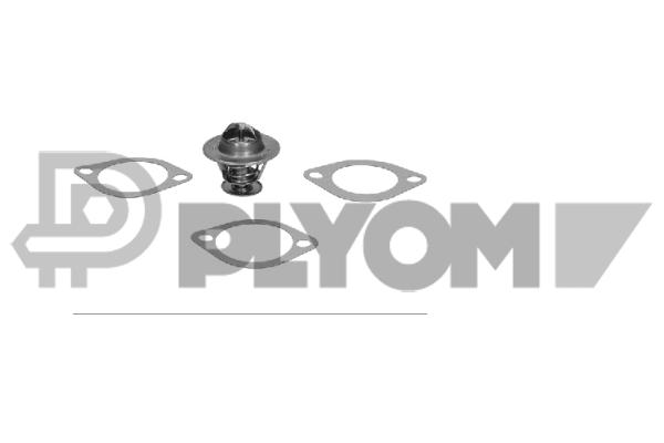 Thermostat, coolant (P775900)