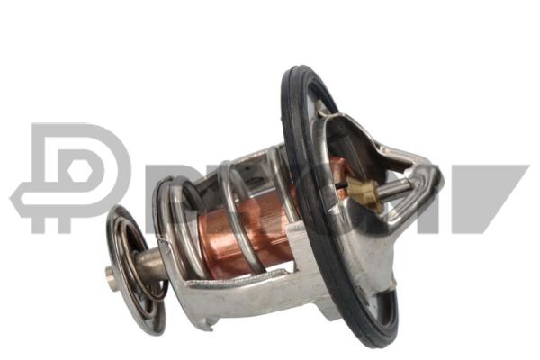 Thermostat, coolant (P756901)