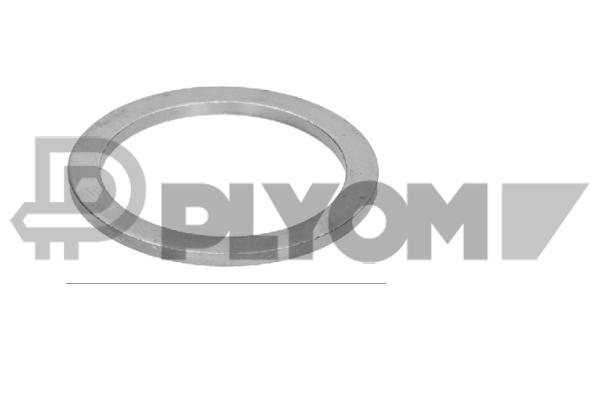 Seal Ring, oil drain plug (P954181)