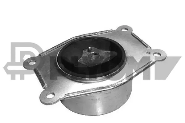 Mounting, engine (P480487)
