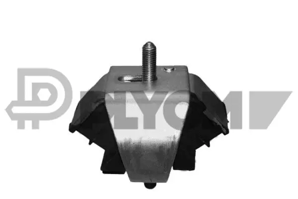 Mounting, engine (P020298)