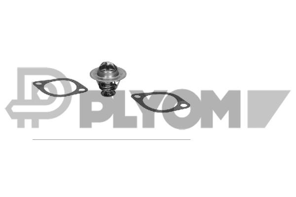 Thermostat, coolant (P775904)