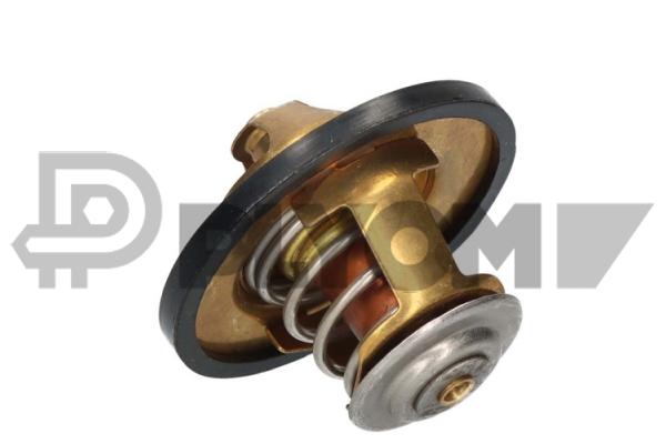 Thermostat, coolant (P756899)