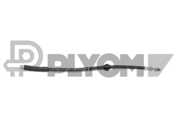Brake Hose (P030015)