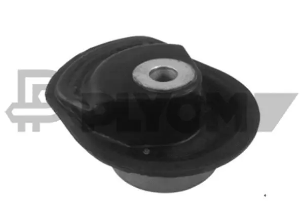 Bushing, axle beam (P460112)