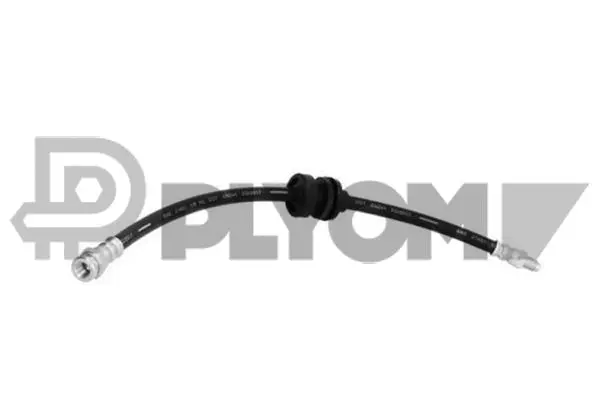Brake Hose (P210035)