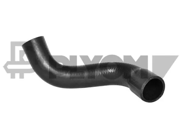 Radiator Hose (P036717)