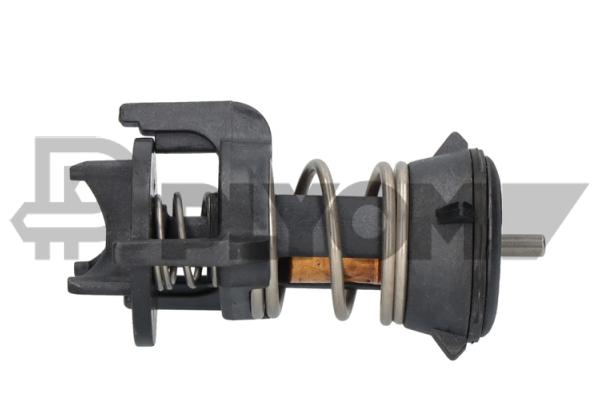 Thermostat, coolant (P756853)