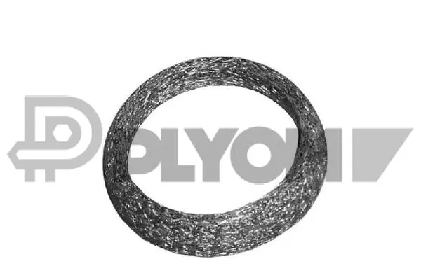 Seal Ring, exhaust pipe (P954199)