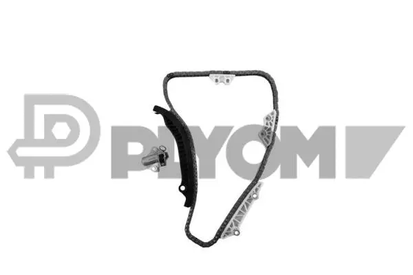 Timing Chain Kit (P752044)