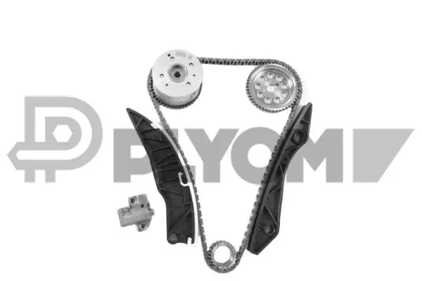 Timing Chain Kit (P771996)