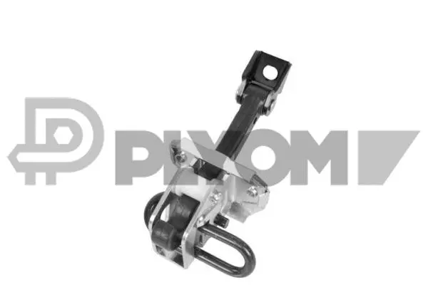 Door Check (P774410)