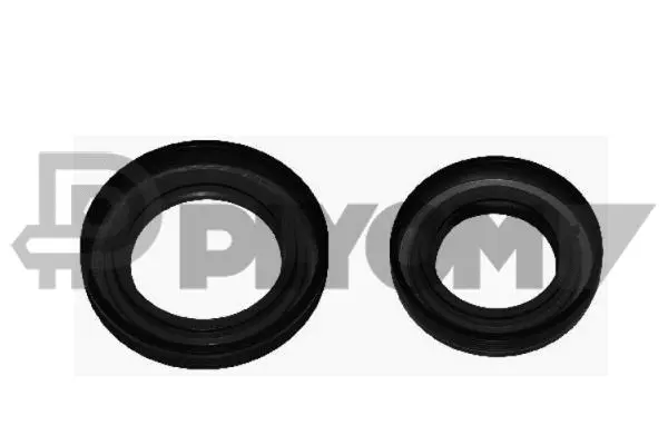 Shaft Seal, differential (P751925)