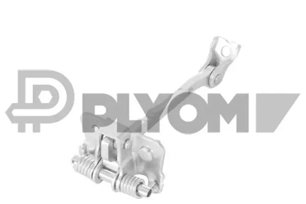 Door Check (P774337)