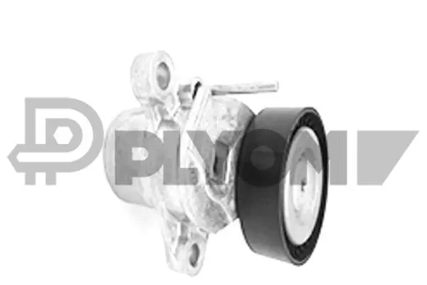 Tensioner Lever, V-ribbed belt (P751840)
