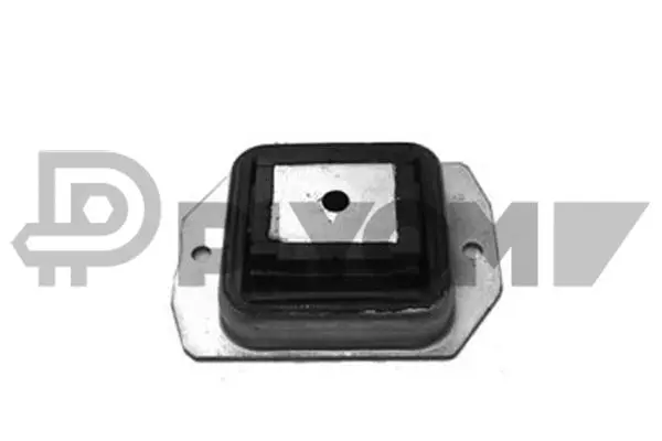 Bushing, axle beam (P030243)