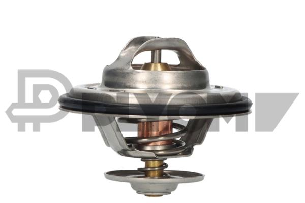 Thermostat, coolant (P770194)