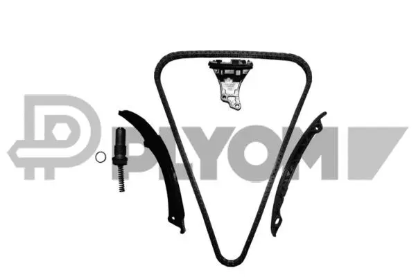 Timing Chain Kit (P752103)