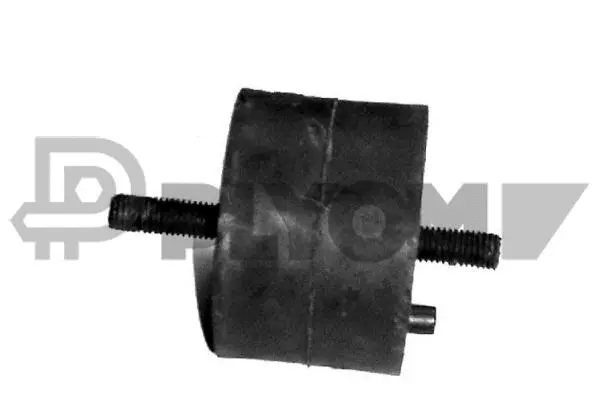 Mounting, engine (P200011)