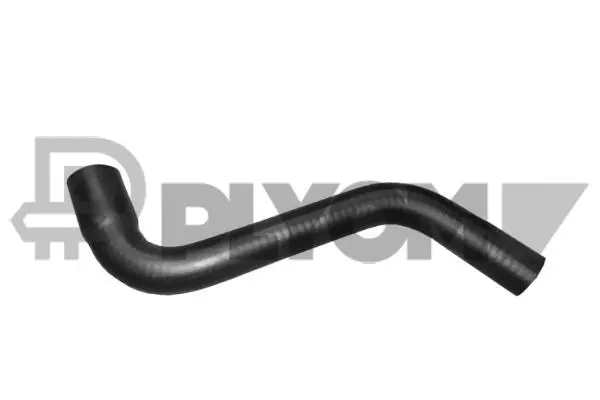 Radiator Hose (P036161)