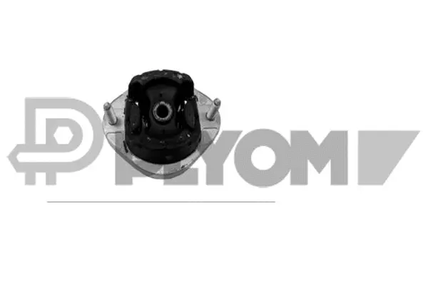 Mounting, engine (P774628)